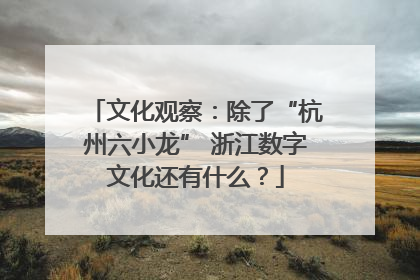 文化观察：除了“杭州六小龙” 浙江数字文化还有什么？