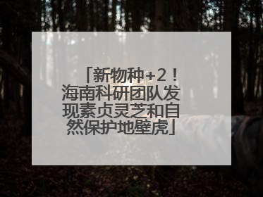 新物种+2！海南科研团队发现素贞灵芝和自然保护地壁虎