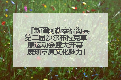 新疆阿勒泰福海县第二届沙尔布拉克草原运动会盛大开幕 展现草原文化魅力