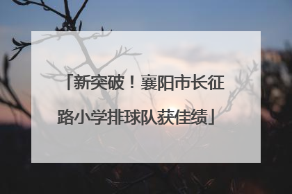 新突破！襄阳市长征路小学排球队获佳绩