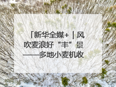 新华全媒+｜风吹麦浪好“丰”景——多地小麦机收一线见闻