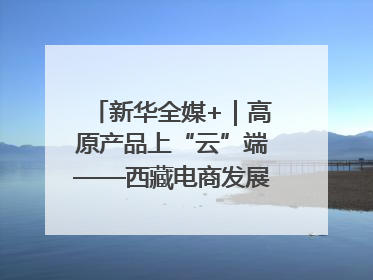 新华全媒+｜高原产品上“云”端——西藏电商发展一线观察