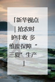 新华视点｜抢农时 护丰收 多维度保障“三夏”生产
