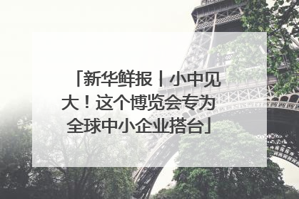 新华鲜报丨小中见大！这个博览会专为全球中小企业搭台