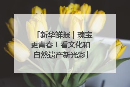 新华鲜报｜瑰宝更青春！看文化和自然遗产新光彩
