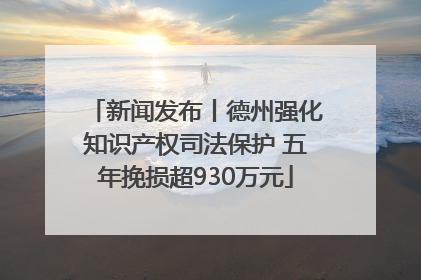 新闻发布丨德州强化知识产权司法保护 五年挽损超930万元