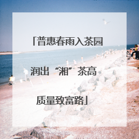 普惠春雨入茶园 润出“湘”茶高质量致富路