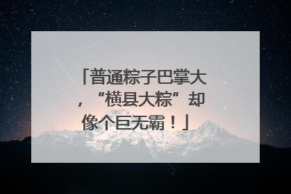 普通粽子巴掌大，“横县大粽”却像个巨无霸！