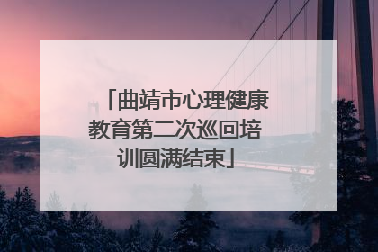 曲靖市心理健康教育第二次巡回培训圆满结束