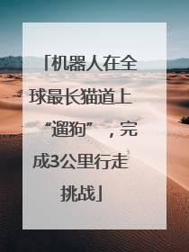 机器人在全球最长猫道上“遛狗”，完成3公里行走挑战