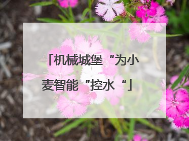 机械城堡“为小麦智能“控水“