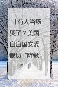 有人当场哭了？美国白宫国安委裁员“降级”