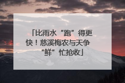 比雨水“跑”得更快！慈溪梅农与天争“鲜”忙抢收