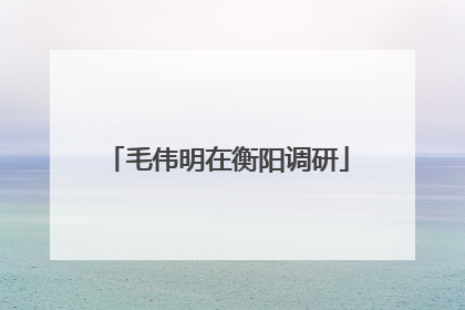 毛伟明在衡阳调研