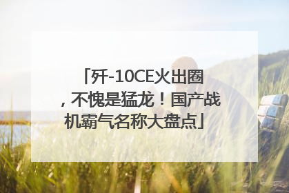 歼-10CE火出圈，不愧是猛龙！国产战机霸气名称大盘点