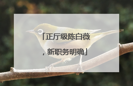 正厅级陈白薇，新职务明确