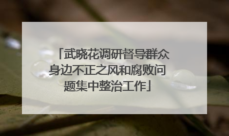 武晓花调研督导群众身边不正之风和腐败问题集中整治工作