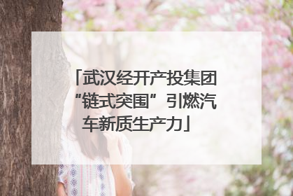 武汉经开产投集团“链式突围”引燃汽车新质生产力