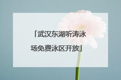 武汉东湖听涛泳场免费泳区开放