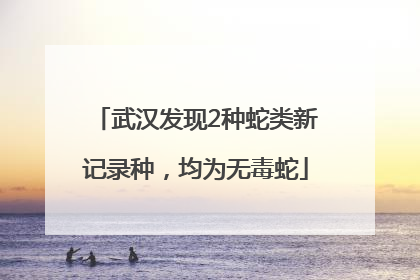 武汉发现2种蛇类新记录种，均为无毒蛇