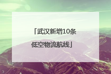 武汉新增10条低空物流航线