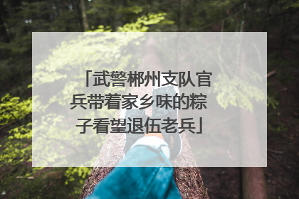 武警郴州支队官兵带着家乡味的粽子看望退伍老兵