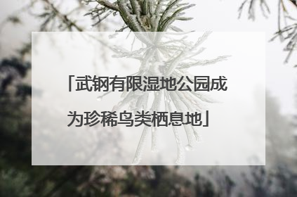 武钢有限湿地公园成为珍稀鸟类栖息地