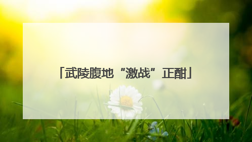 武陵腹地“激战”正酣