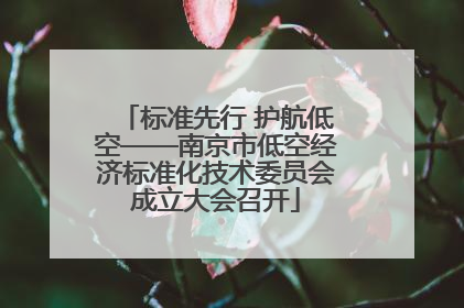 标准先行 护航低空——南京市低空经济标准化技术委员会成立大会召开