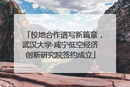 校地合作谱写新篇章，武汉大学·咸宁低空经济创新研究院签约成立