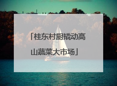 桂东村厨撬动高山蔬菜大市场