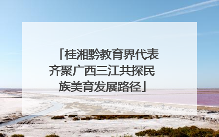 桂湘黔教育界代表齐聚广西三江共探民族美育发展路径
