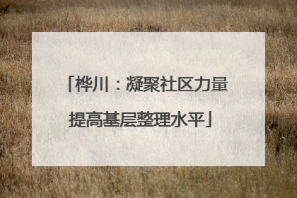 桦川：凝聚社区力量 提高基层整理水平