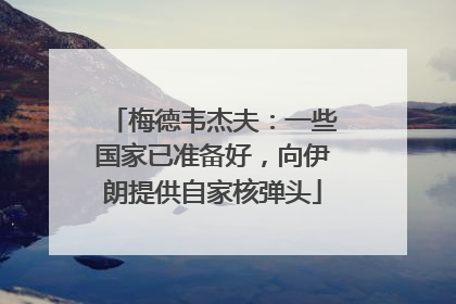 梅德韦杰夫：一些国家已准备好，向伊朗提供自家核弹头