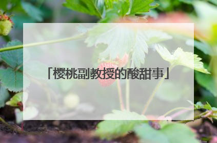 樱桃副教授的酸甜事