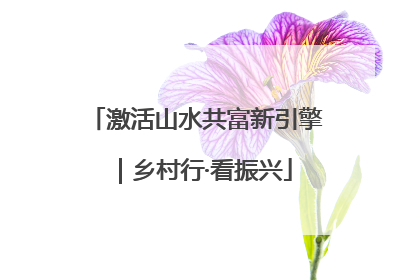 激活山水共富新引擎｜乡村行·看振兴