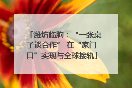潍坊临朐：“一张桌子谈合作” 在“家门口”实现与全球接轨