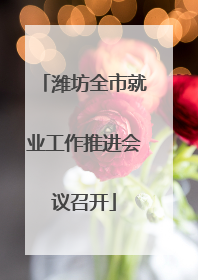 潍坊全市就业工作推进会议召开