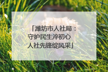 潍坊市人社局：守护民生淬初心 人社先锋绽风采