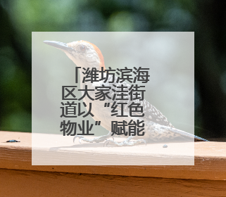 潍坊滨海区大家洼街道以“红色物业”赋能民生服务
