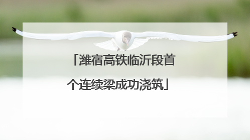 潍宿高铁临沂段首个连续梁成功浇筑