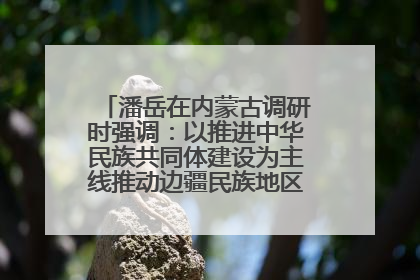 潘岳在内蒙古调研时强调：以推进中华民族共同体建设为主线推动边疆民族地区高质量发展
