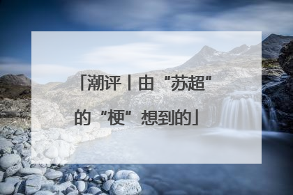 潮评丨由“苏超”的“梗”想到的