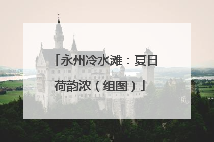 永州冷水滩：夏日荷韵浓（组图）