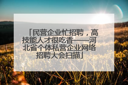 民营企业忙招聘，高技能人才很吃香——河北省个体私营企业网络招聘大会扫描