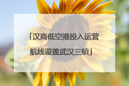 汉商低空港投入运营 航线覆盖武汉三镇
