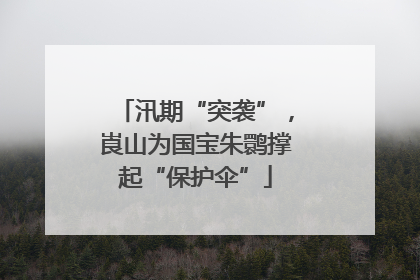 汛期“突袭”，崀山为国宝朱鹮撑起“保护伞”