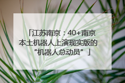 江苏南京：40+南京本土机器人上演现实版的“机器人总动员”