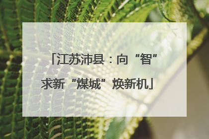 江苏沛县：向“智”求新“煤城”焕新机