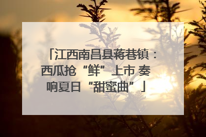 江西南昌县蒋巷镇：西瓜抢“鲜”上市 奏响夏日“甜蜜曲”
